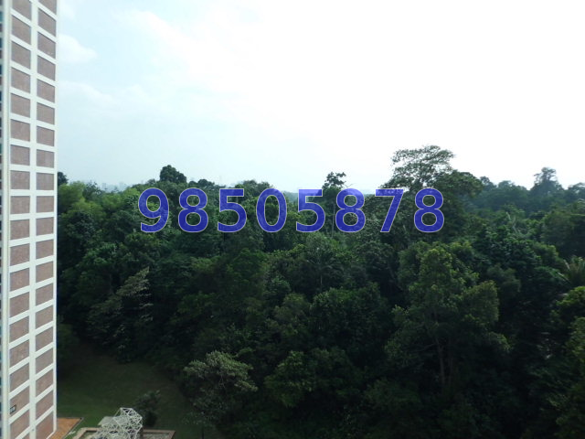 Lakeview Estate (D20), Apartment #45926532